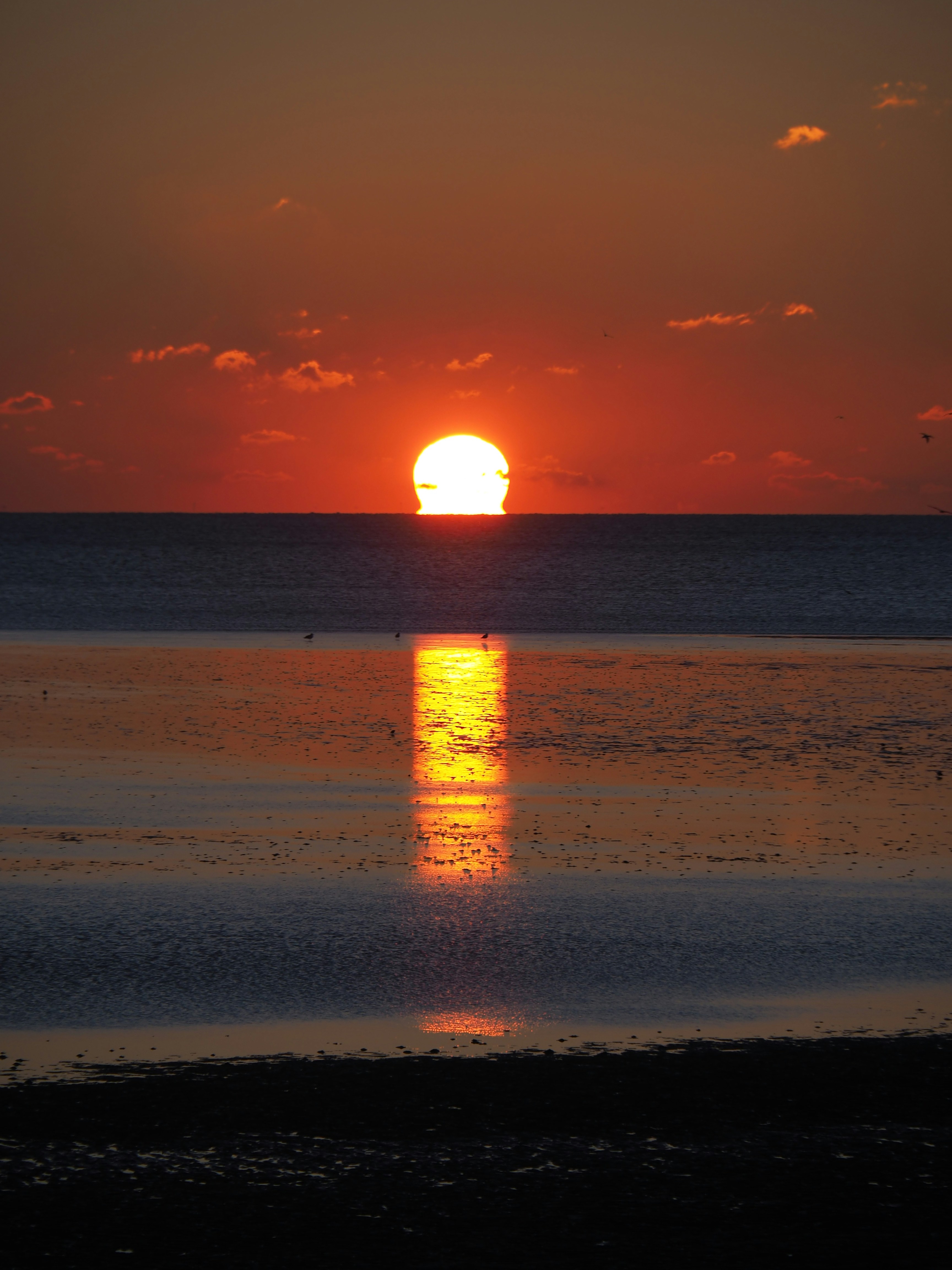 Photo by nimbus_vulpis