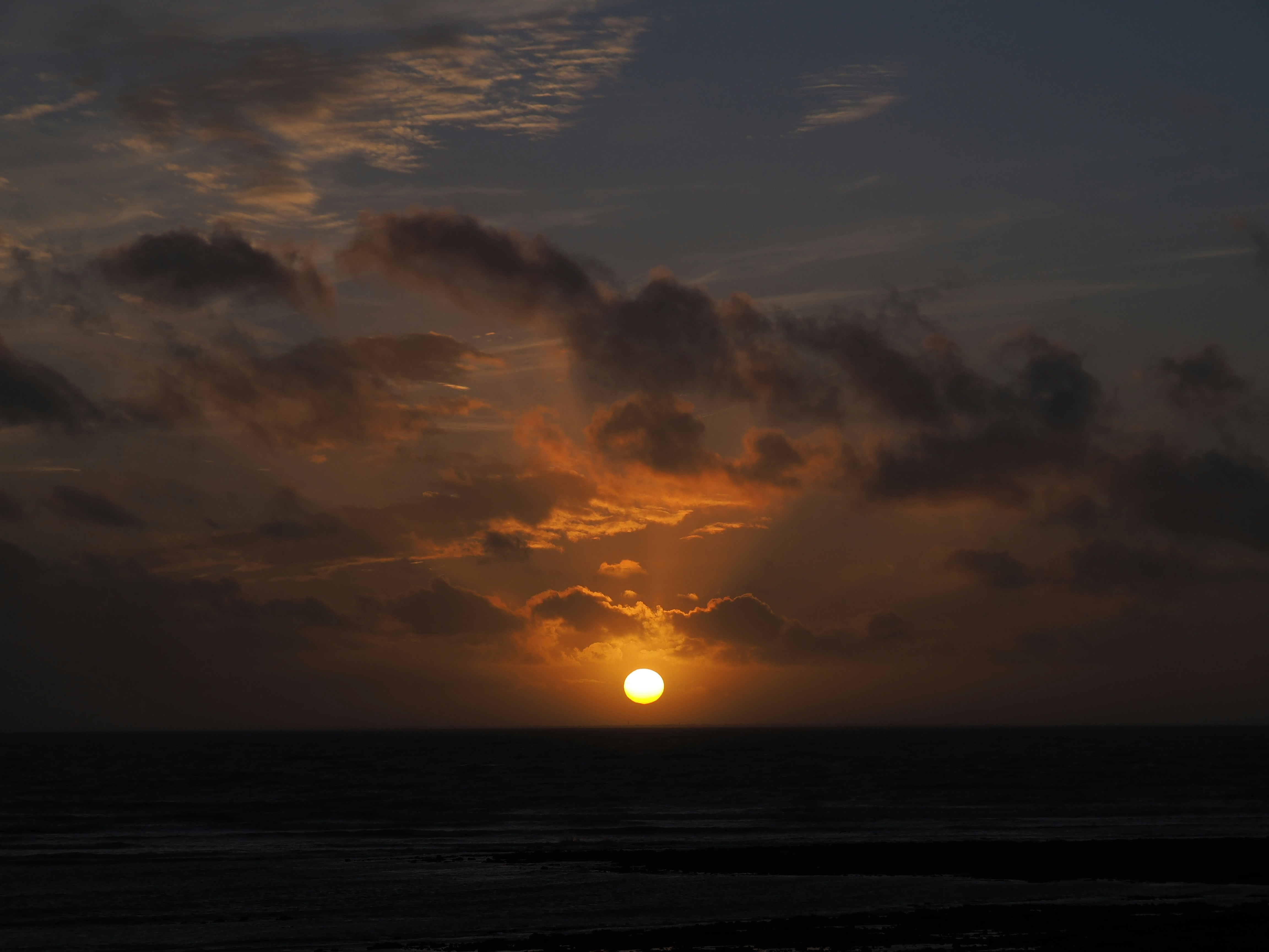 Photo by nimbus_vulpis