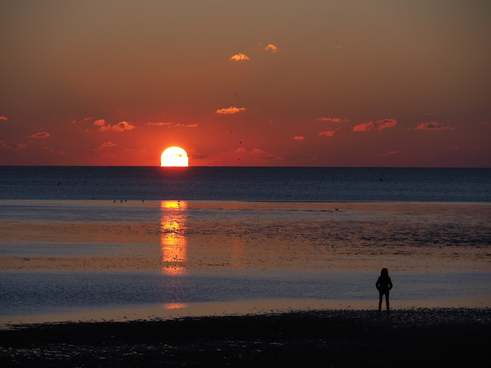 silhouette of person standing on beach during sunset