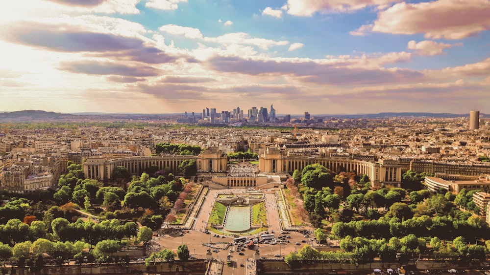 Vue aérienne d’arbres verts et d’un champ d’herbe verte pendant la journée