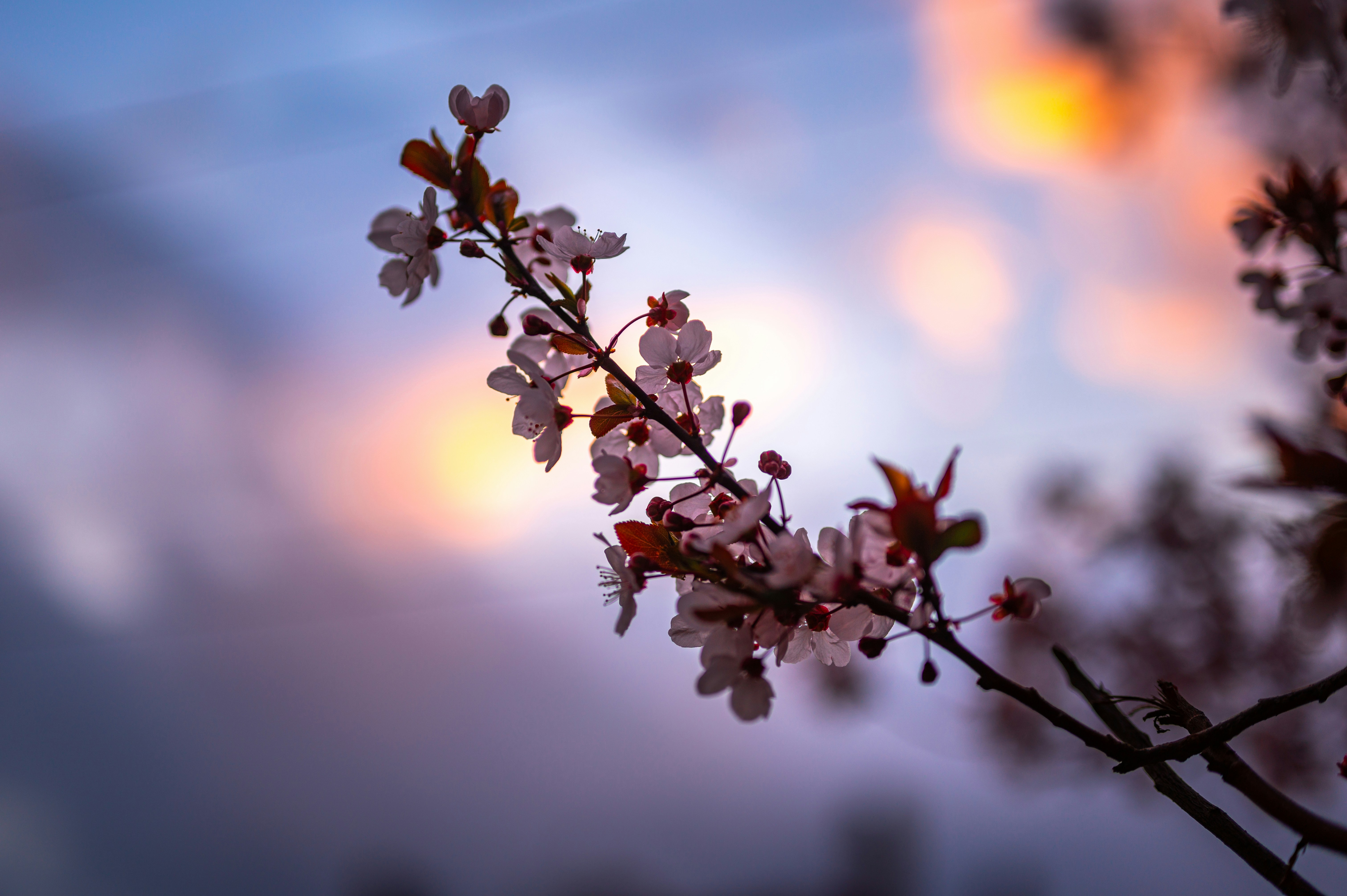 Photo by andreasbrun