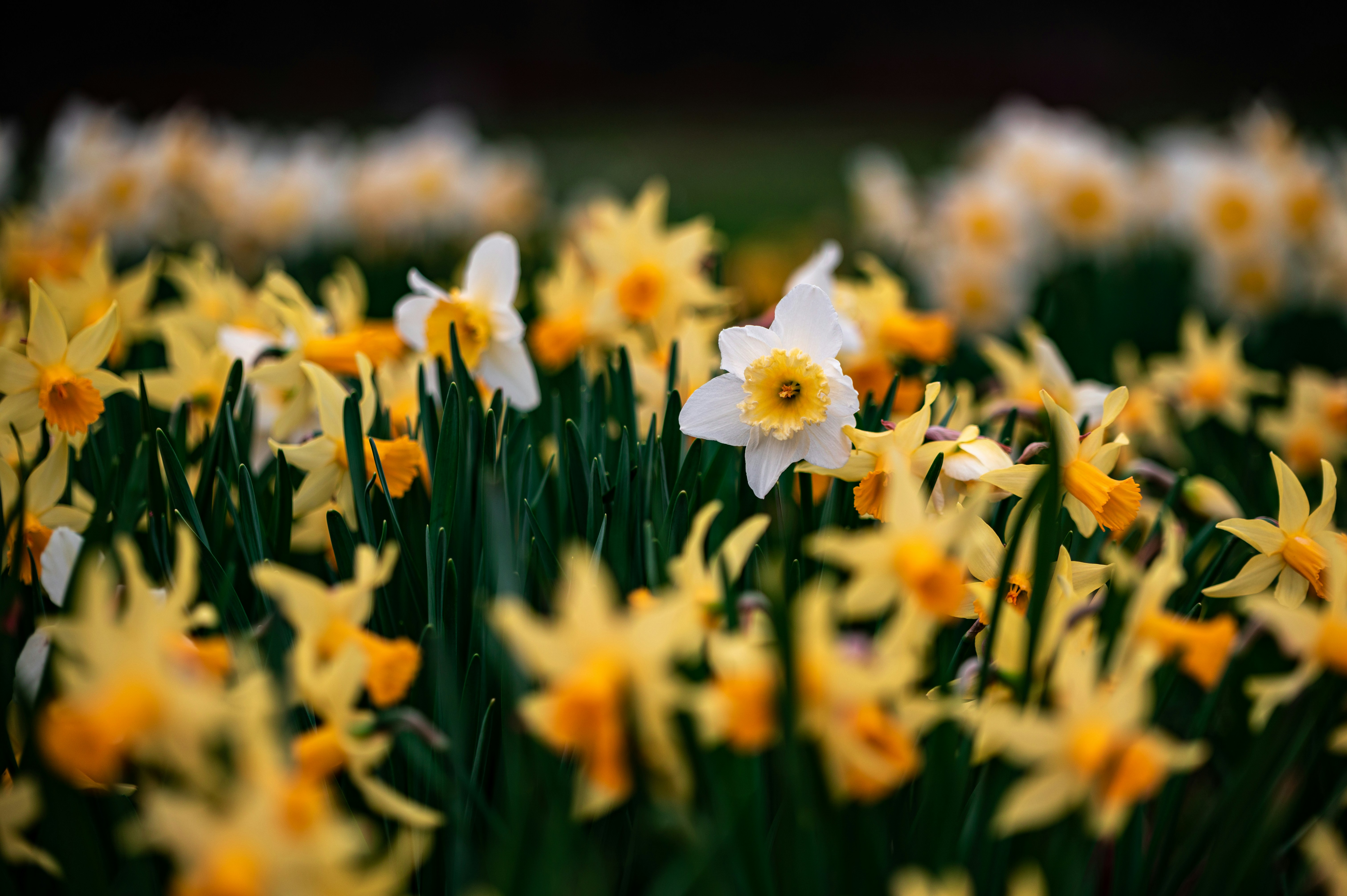 Photo by andreasbrun