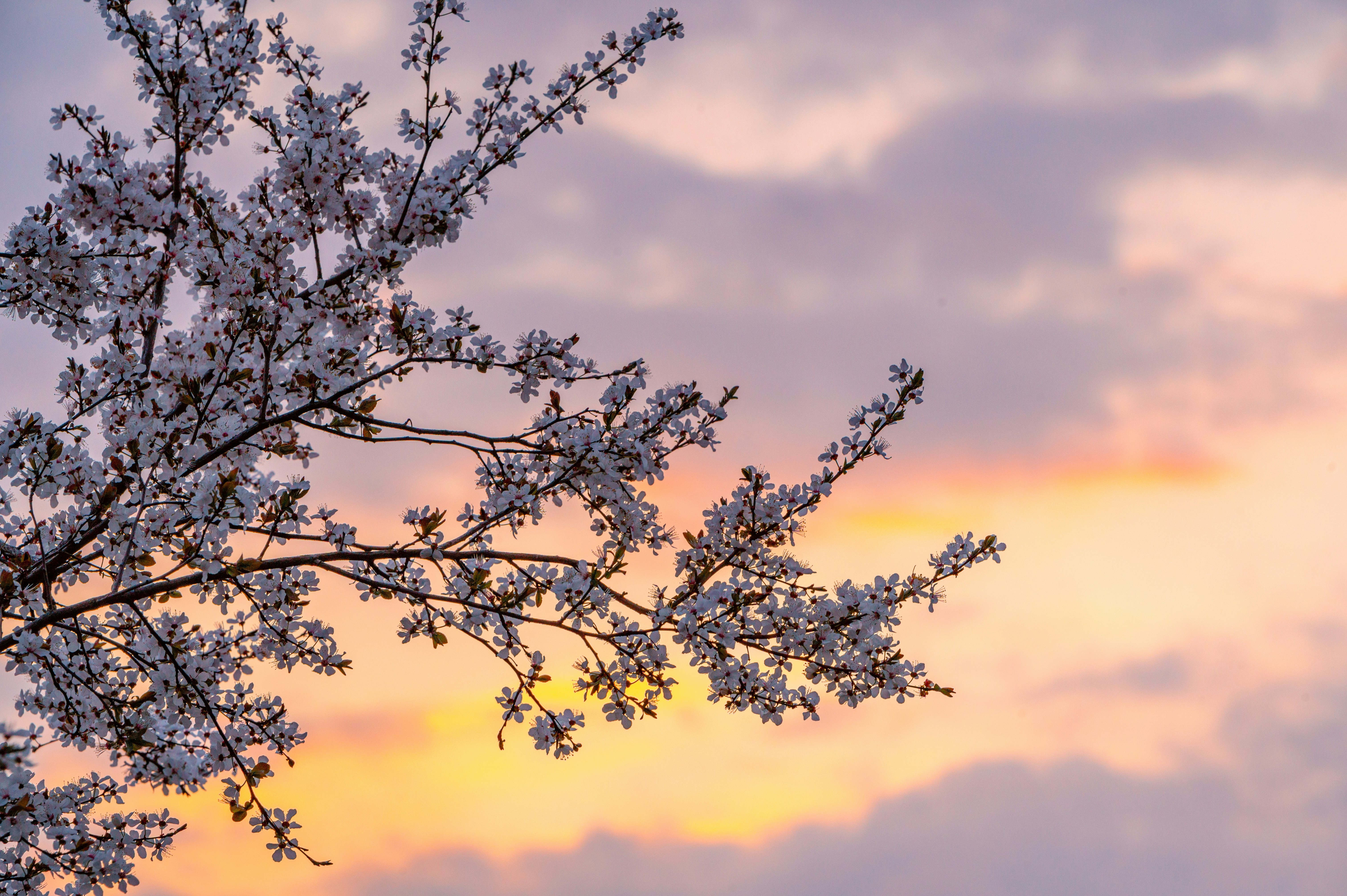 Photo by andreasbrun