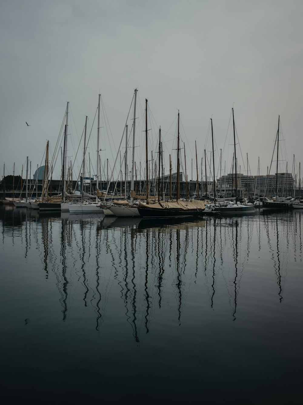 white and black boats on sea during daytime