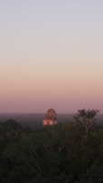 A solitary ancient Mayan pyramid emerges from dense green jungle foliage under a tranquil sky transitioning from soft pastel hues of pink to light blue.