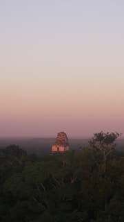 A solitary ancient Mayan pyramid emerges from dense green jungle foliage under a tranquil sky transitioning from soft pastel hues of pink to light blue.