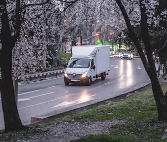 white van on road near trees during daytime