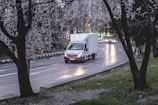 white van on road near trees during daytime