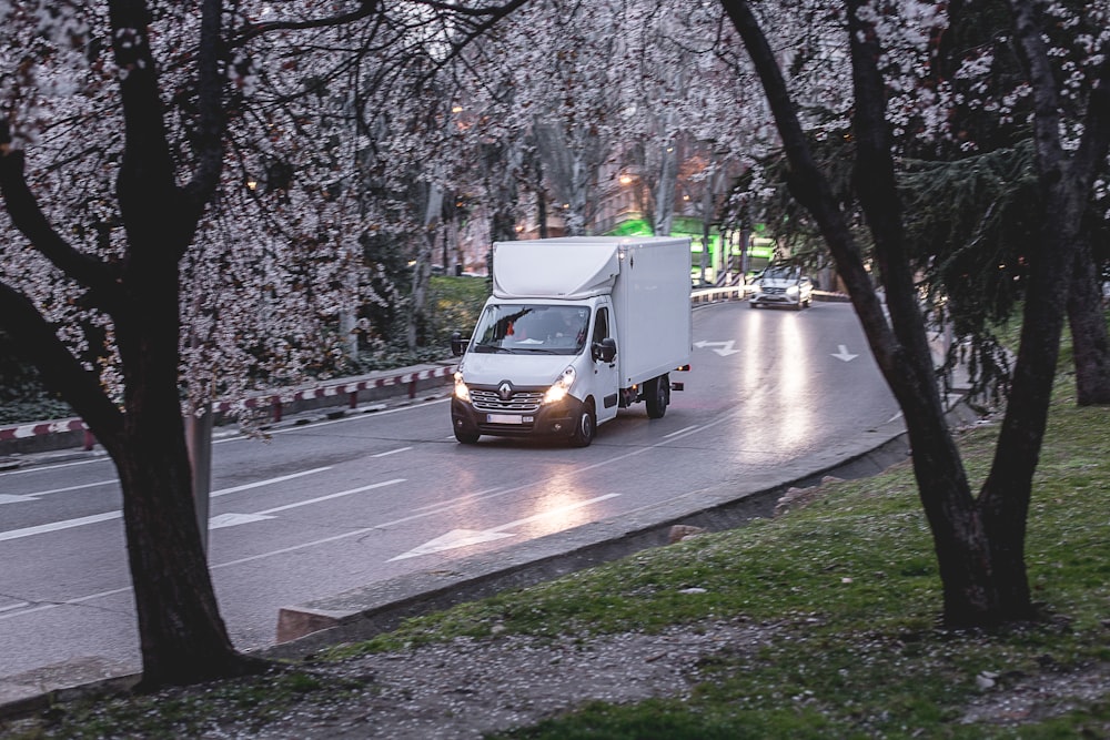 Weißer Van tagsüber auf der Straße in der Nähe von Bäumen