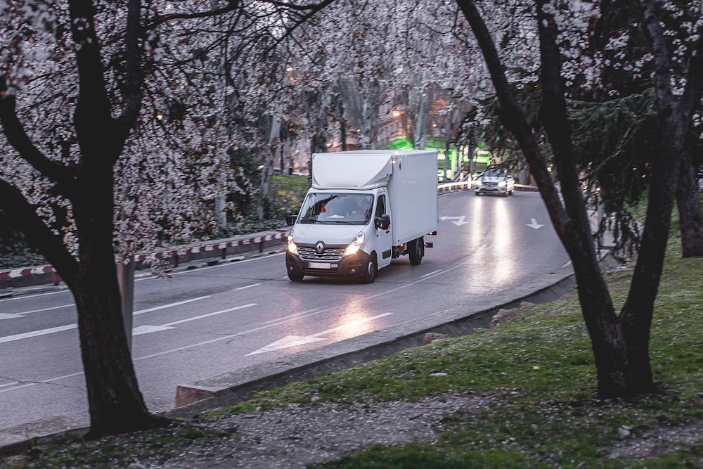 昼間、木々の近くの道路を走る白いバン