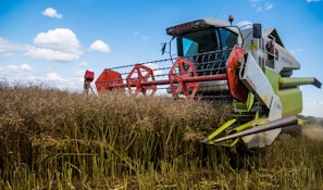 red and green metal machine on green grass field under blue sky during daytime