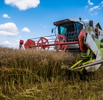 red and green metal machine on green grass field under blue sky during daytime