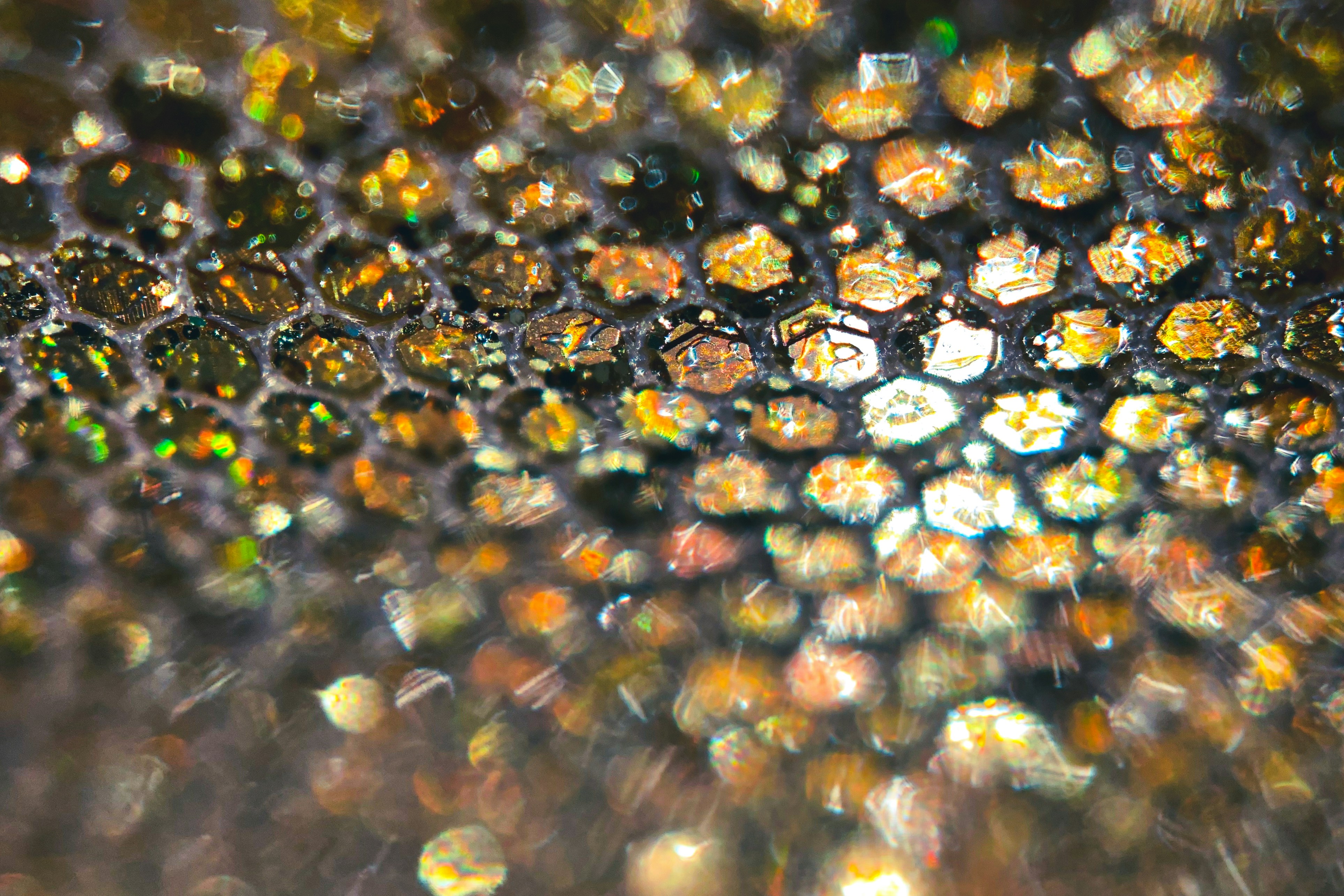 Photo by solenfeyissa