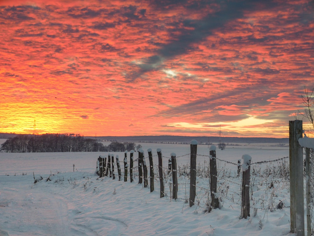 snow covered field during sunset