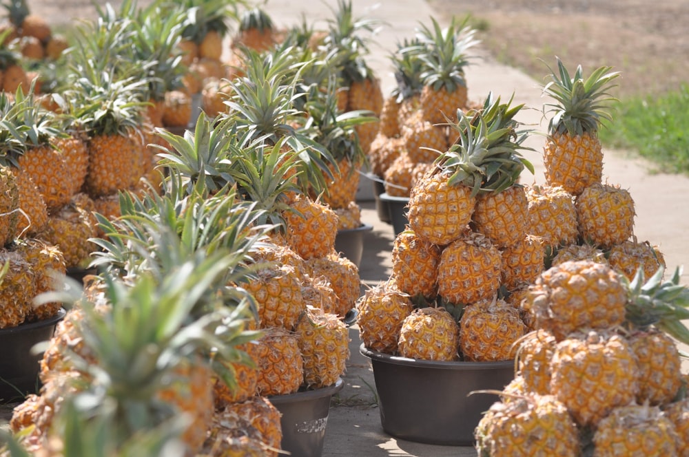 orange and green pineapple fruits in black plastic bucket