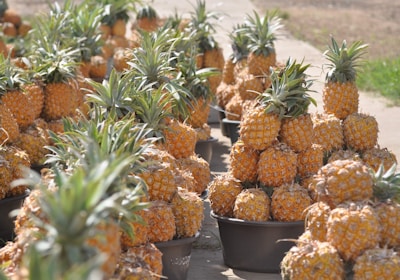 Südafrika Safari Markt mit Ananas