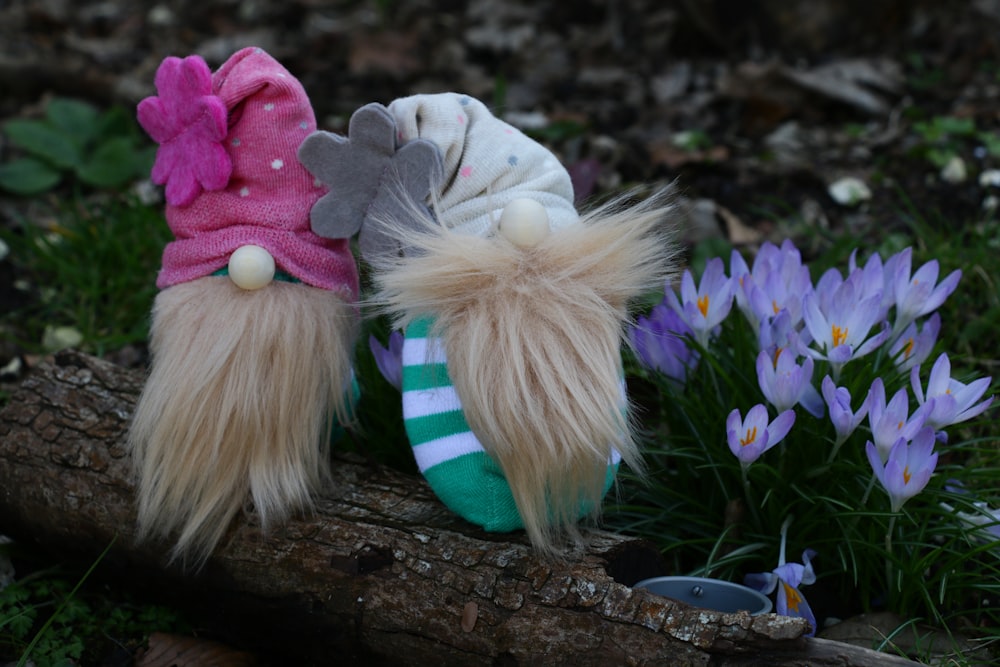 pink bear plush toy on ground