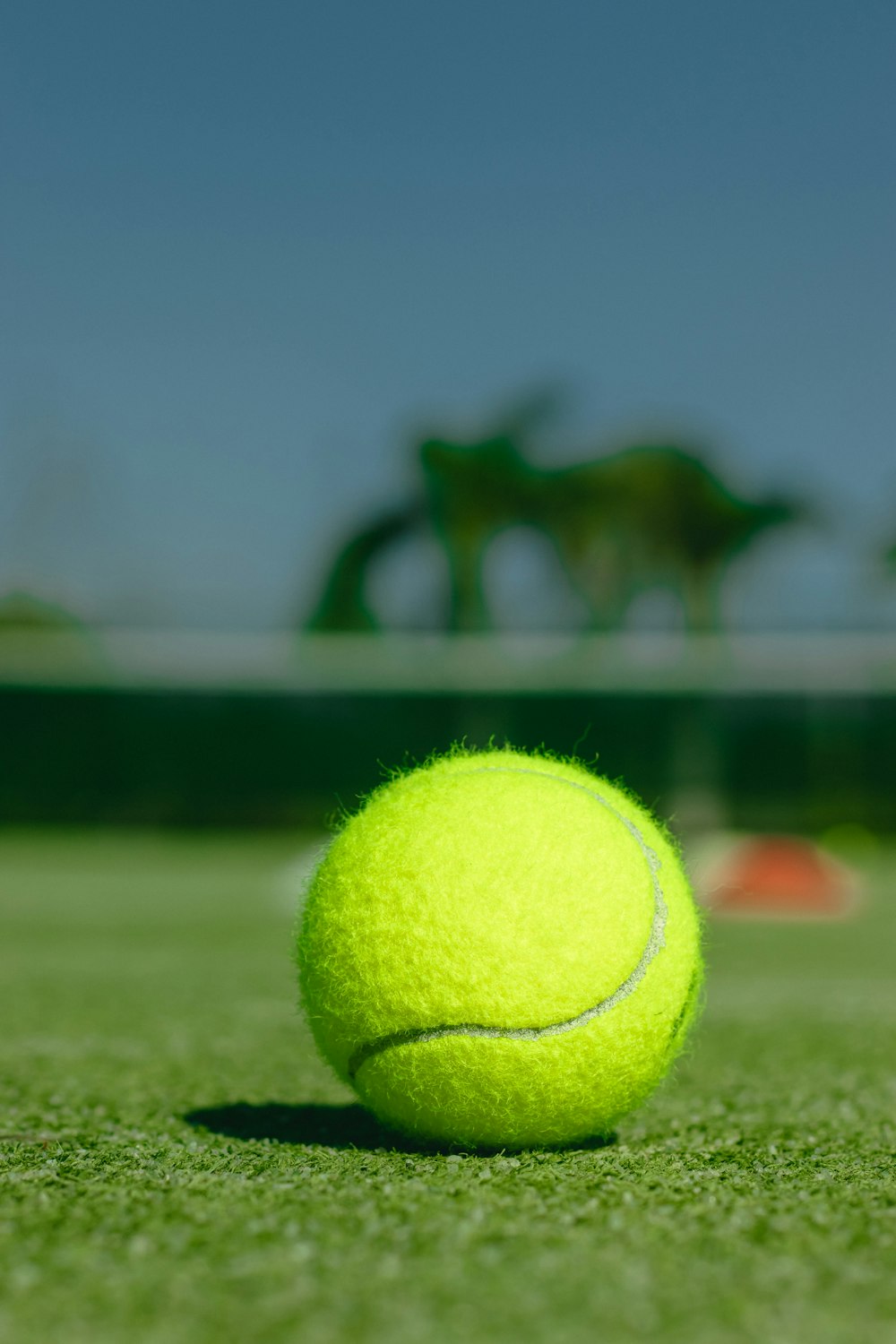 昼間は緑の芝生のグラウンドに緑のテニスボール