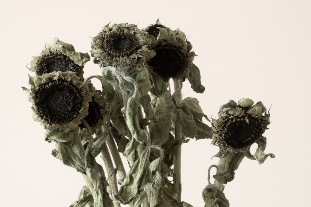 bouquet of flowers on white surface