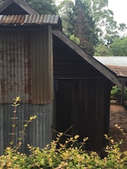 A sturdy 20ft shed and utility unit with clean lines and a rustic finish.