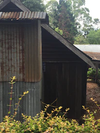 A sturdy metal shed framed by lush greenery, highlighting practical and durable design.