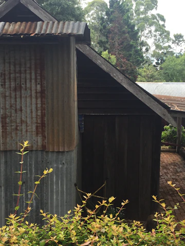 A sturdy metal shed framed by lush greenery, highlighting practical and durable design.