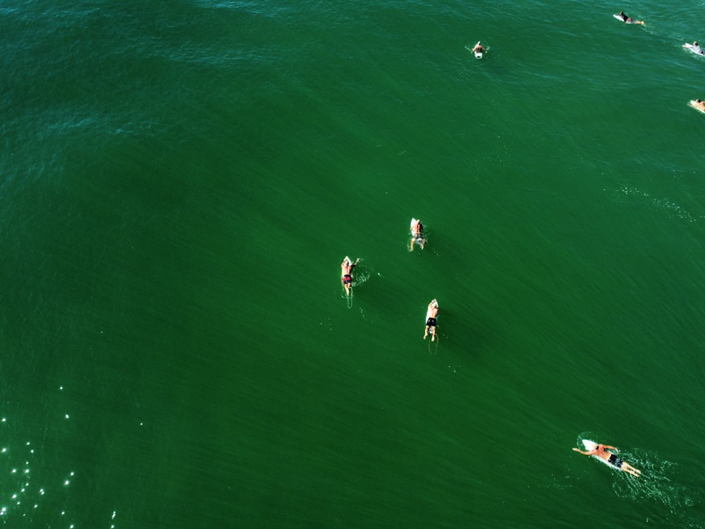 aerial view of people swimming on sea during daytime