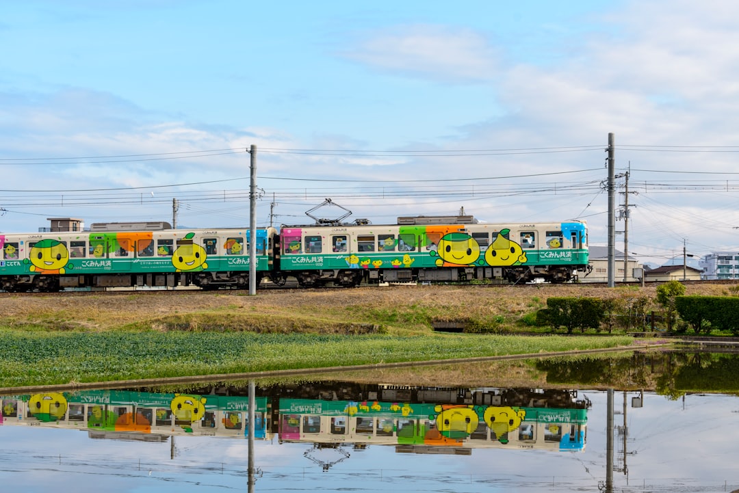 blue yellow and red train on rail tracks during daytime