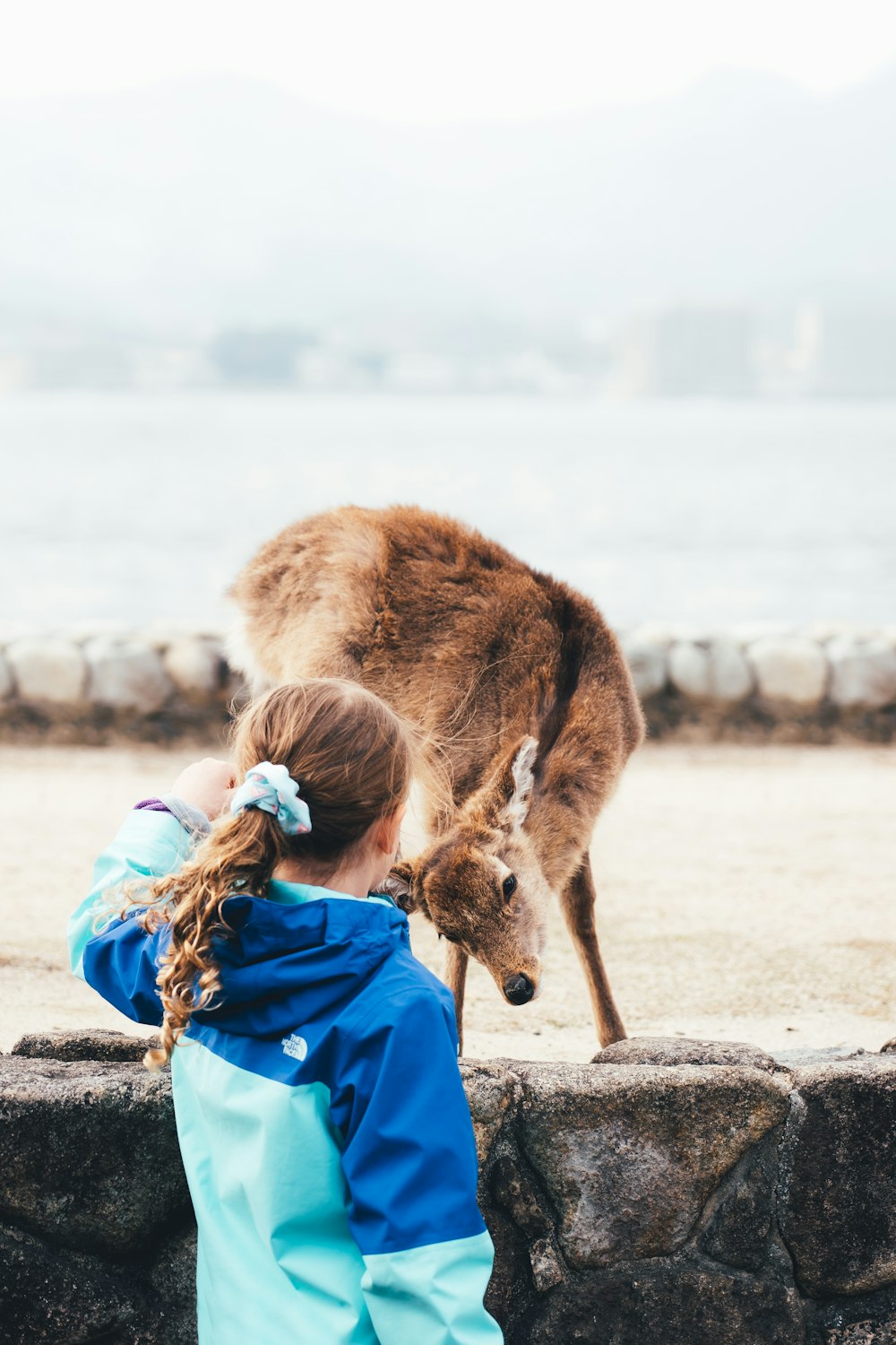 girl in blue jacket and blue denim jeans sitting on brown sand beside brown deer during