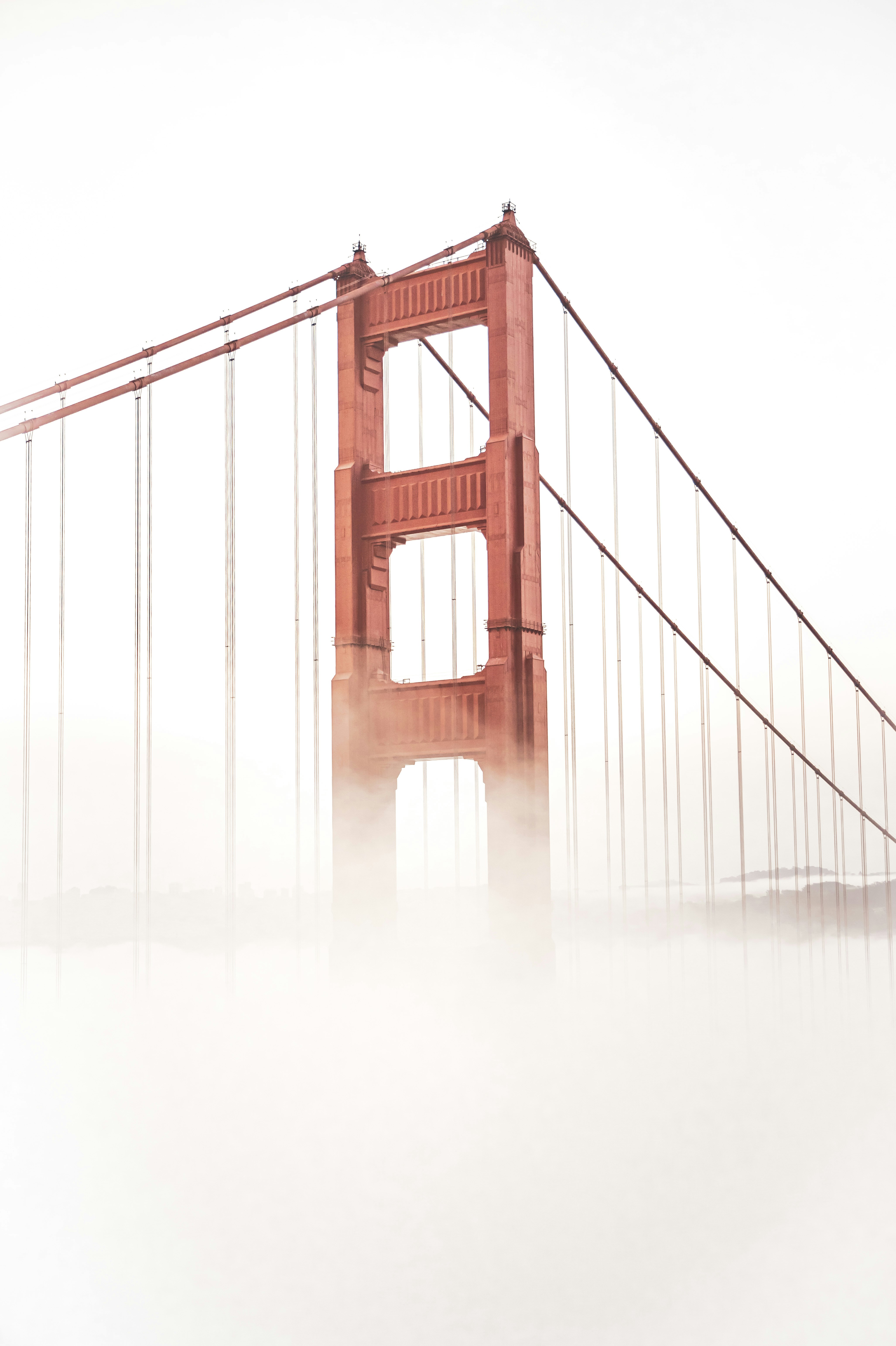 Photo by leo_visions_