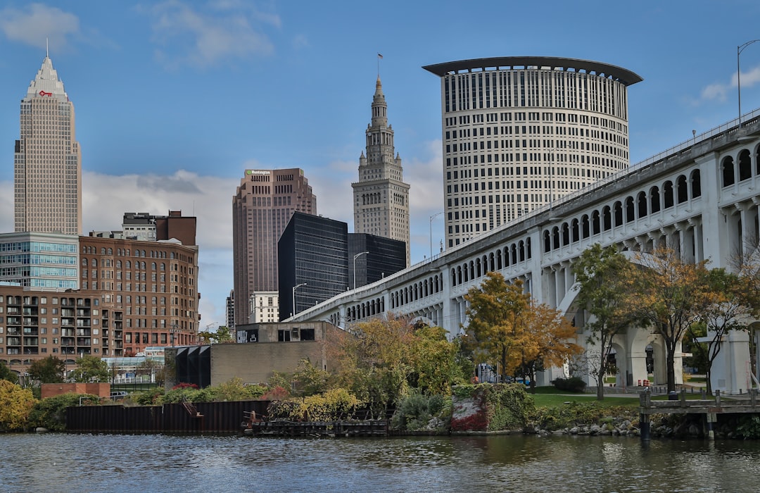 green trees near river and high rise buildings during daytime