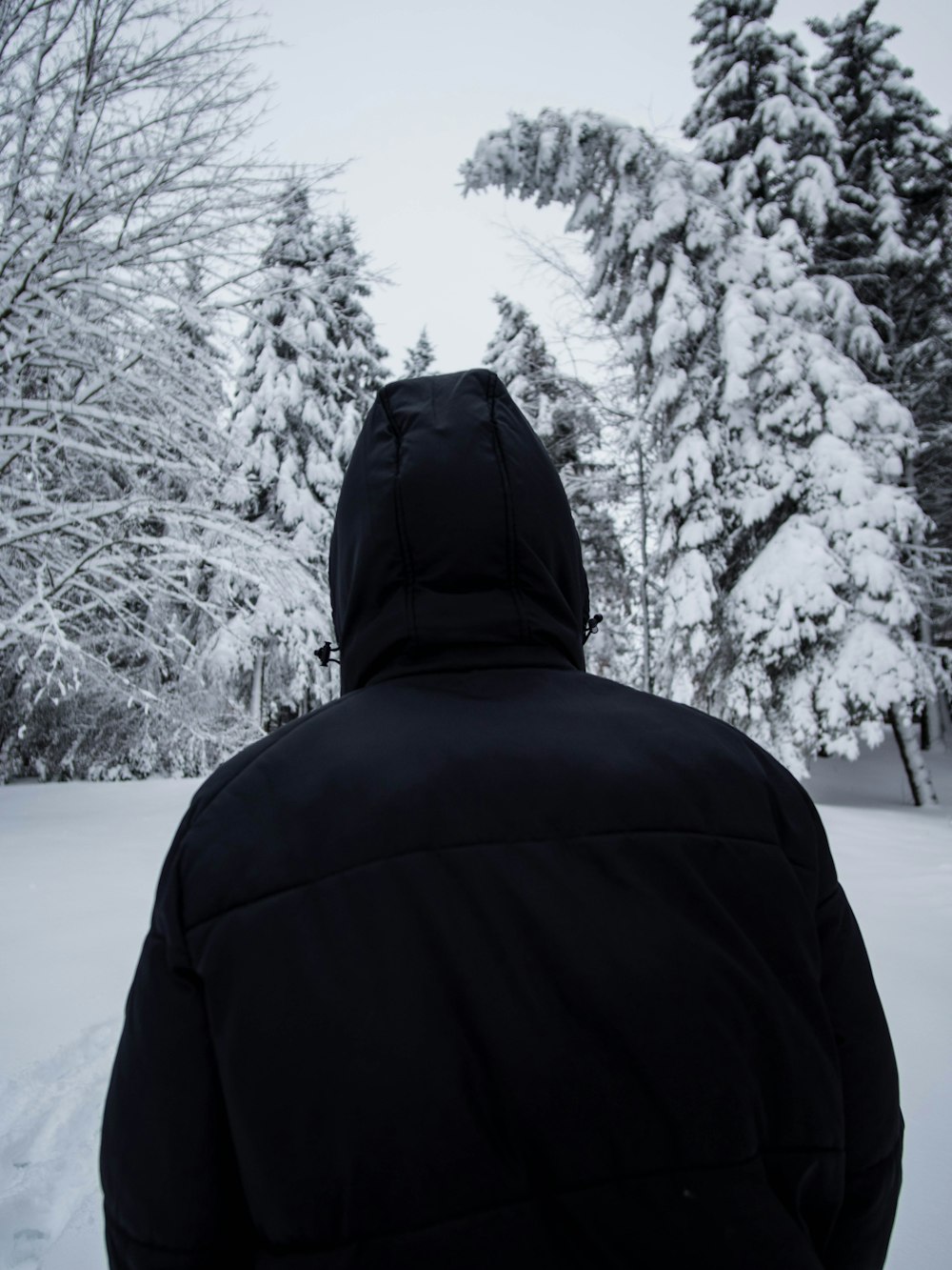 person in black hoodie standing on snow covered ground
