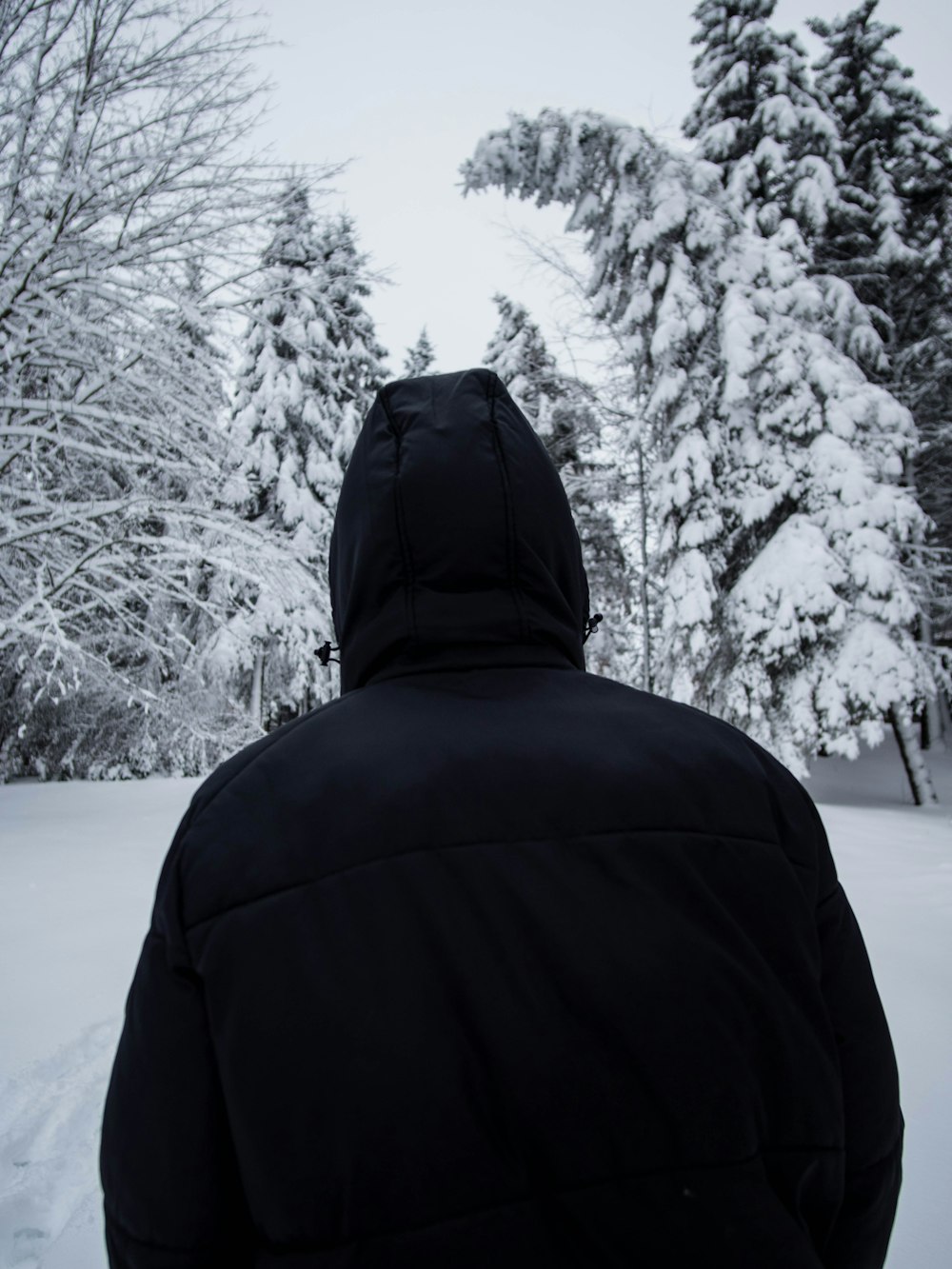 Person in schwarzem Kapuzenpulli auf schneebedecktem Boden