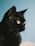 black cat with green eyes