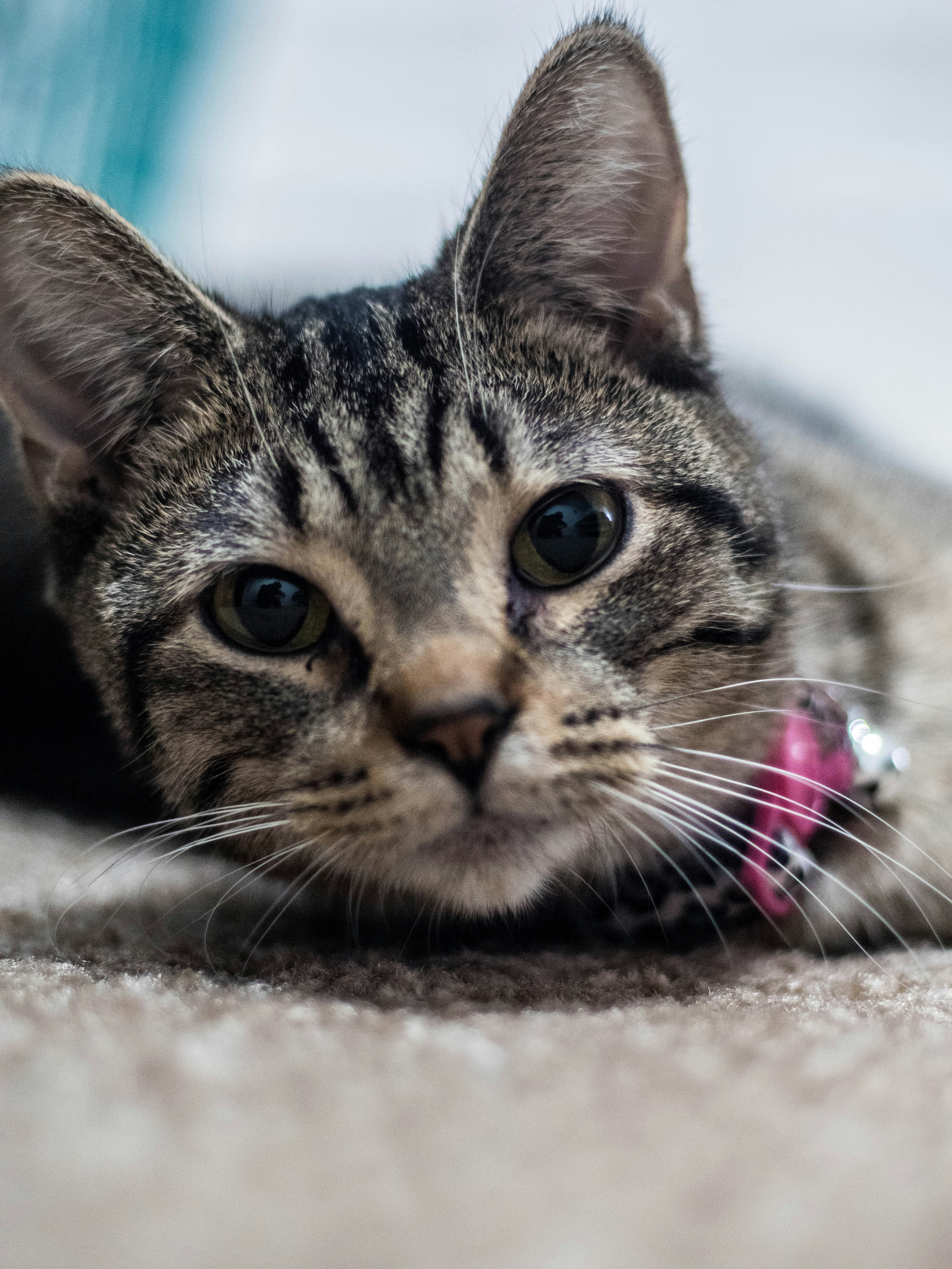 Photo by giobartlett