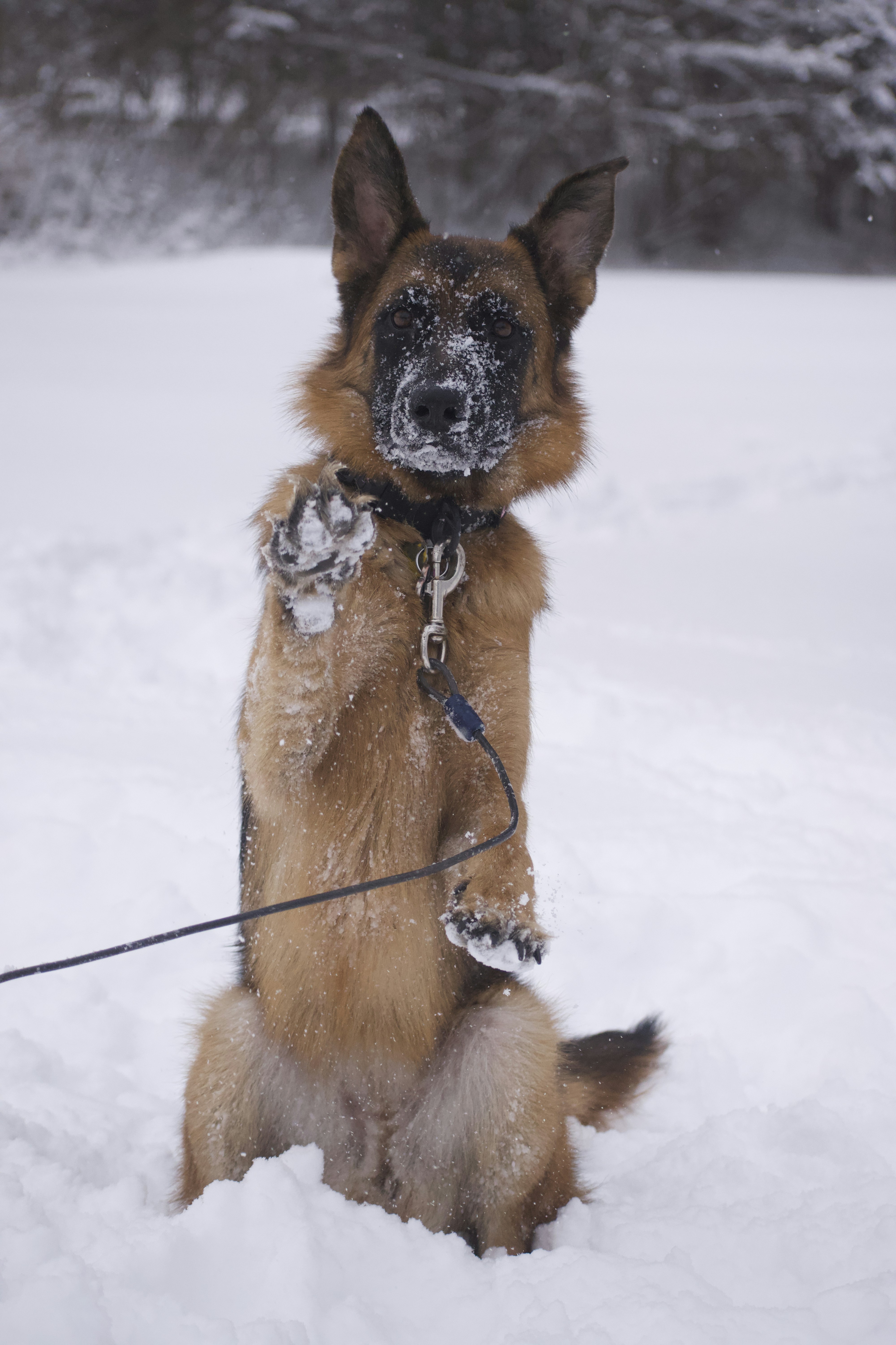 Photo by photeggraphs