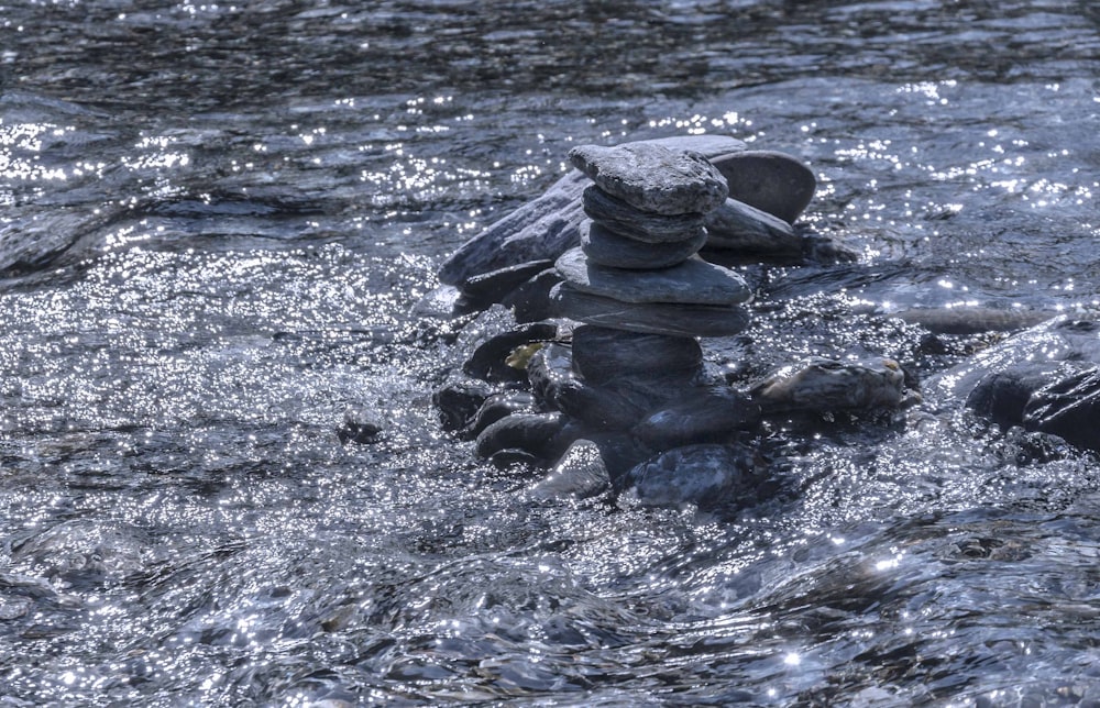 black stones on body of water during daytime