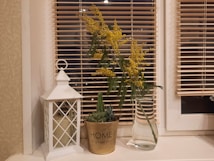 A windowsill adorned with a decorative white lantern housing a candle, a potted small green plant in a gold pot labeled 'HOME', and a clear glass vase holding sprigs of yellow flowers. The background features blinds covering a window.