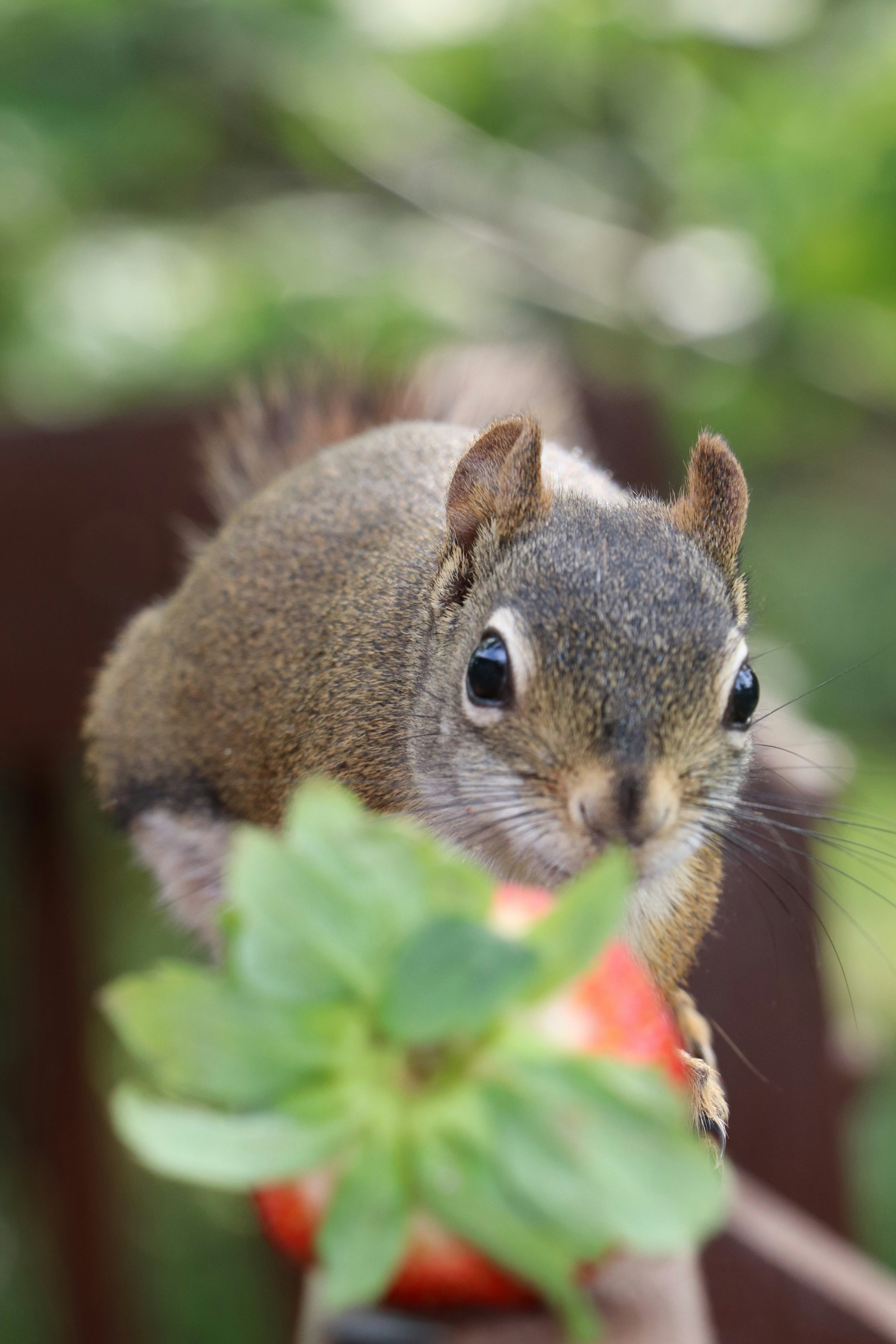 Photo by sandimagerart