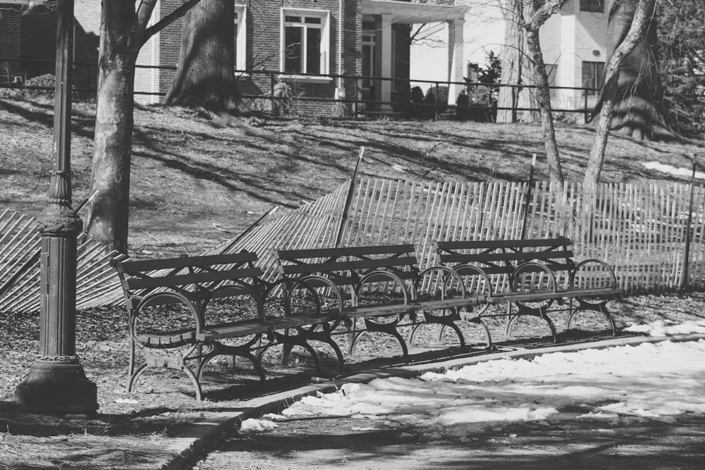 grayscale photo of bench near tree