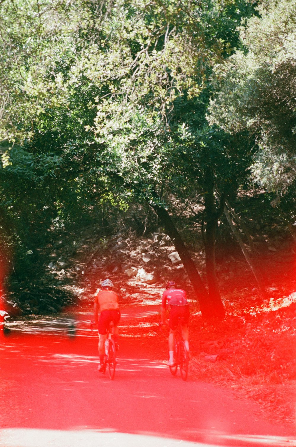 2 person walking on red road during daytime