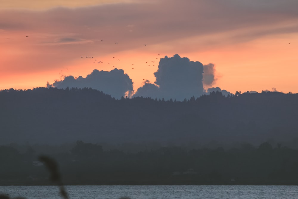 Silhouette der Bäume bei Sonnenuntergang