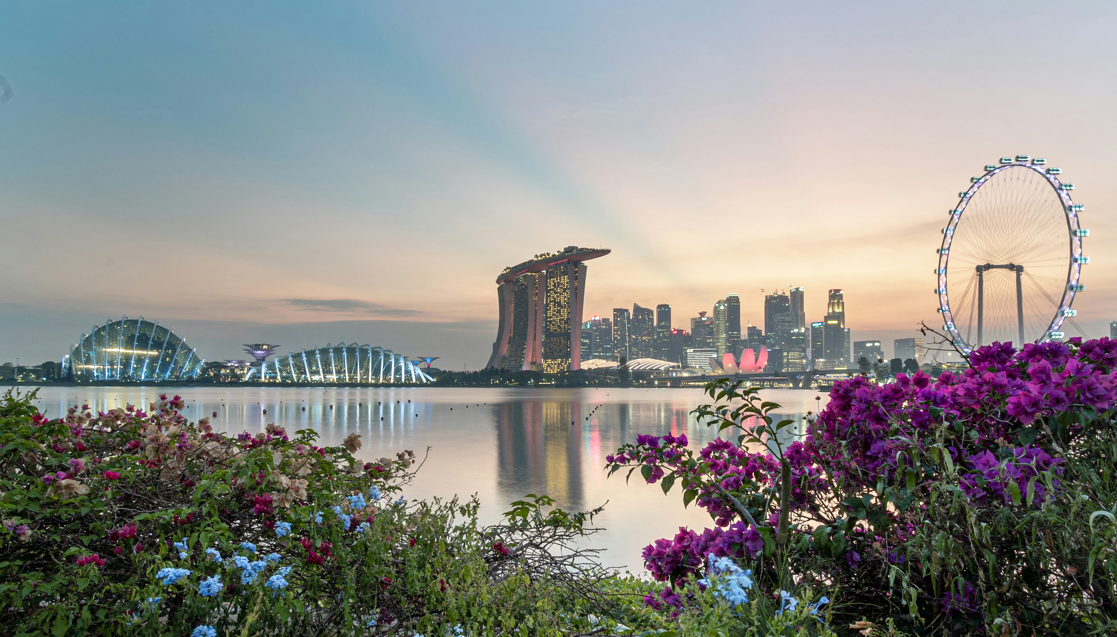 صورة المعرض