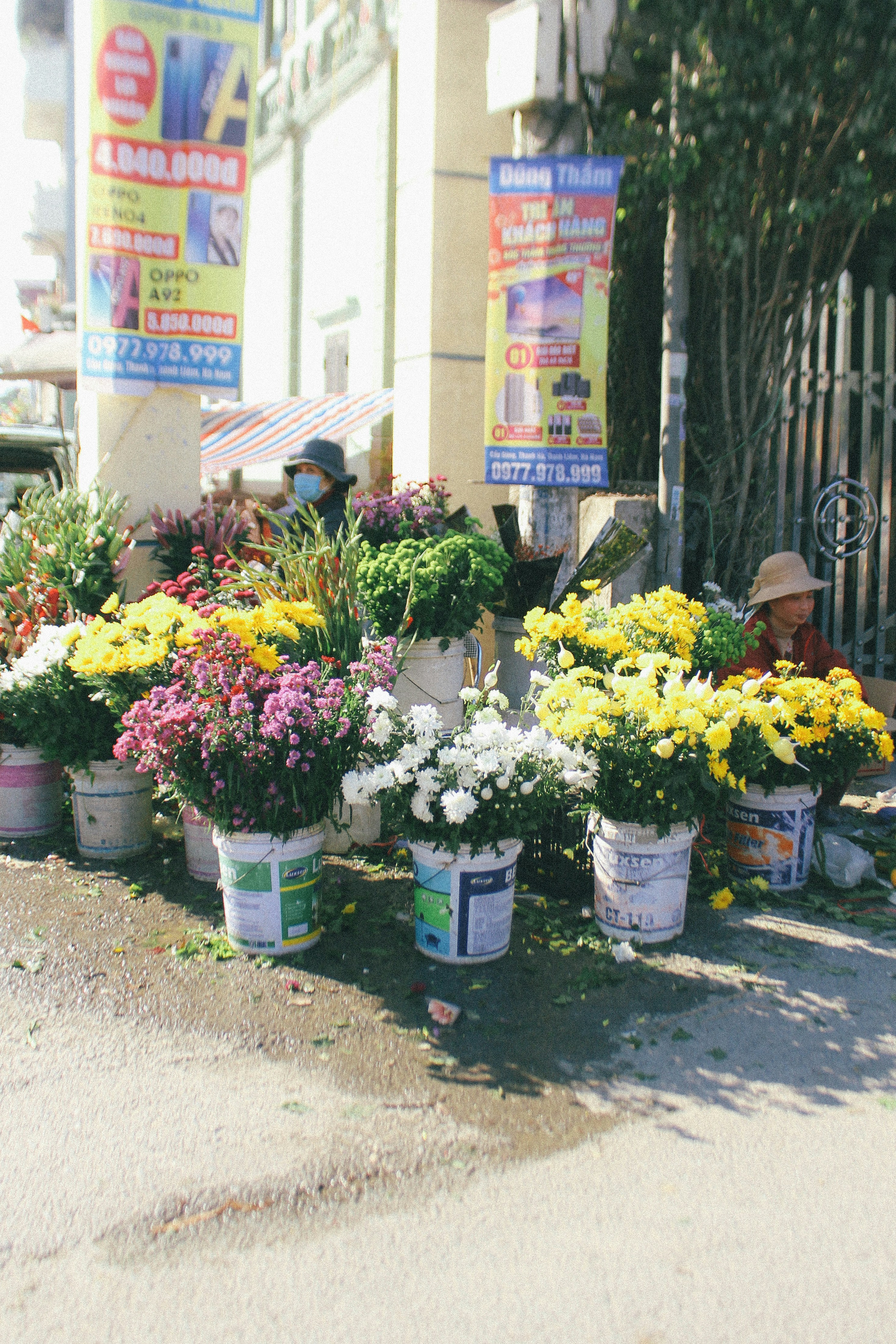 Best⁢ Consumption‌ Practices and Practical⁢ Dosage Recommendations for ⁤THCa Flower