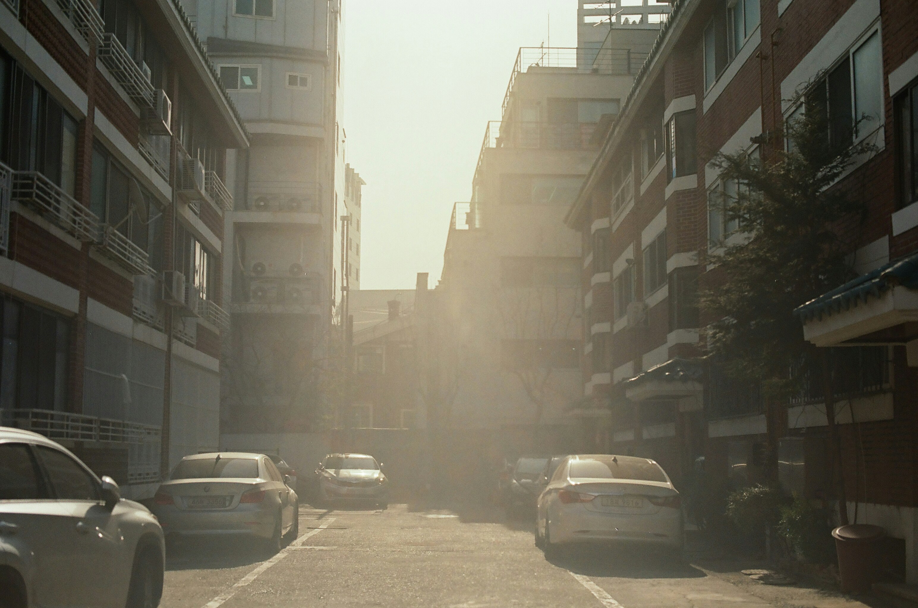 voitures garées sur le bord de la route pendant la journée