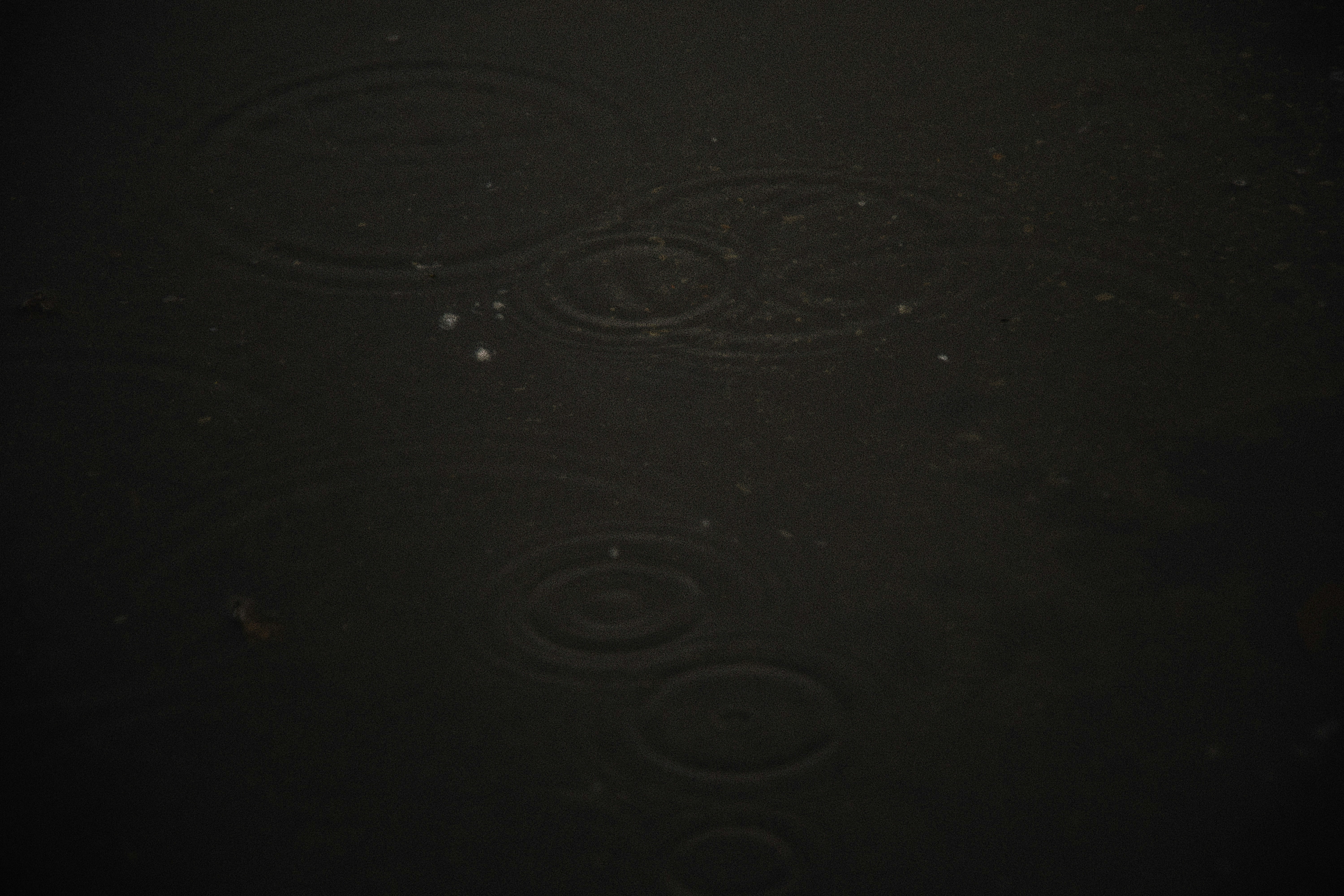 Photo by jizhidexiaohailang