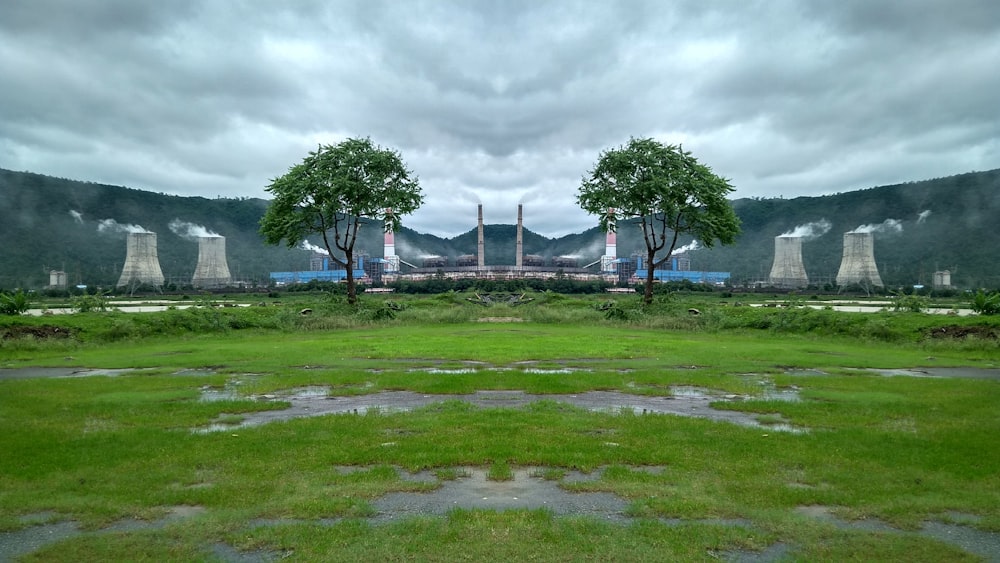 green grass field with trees under gray sky