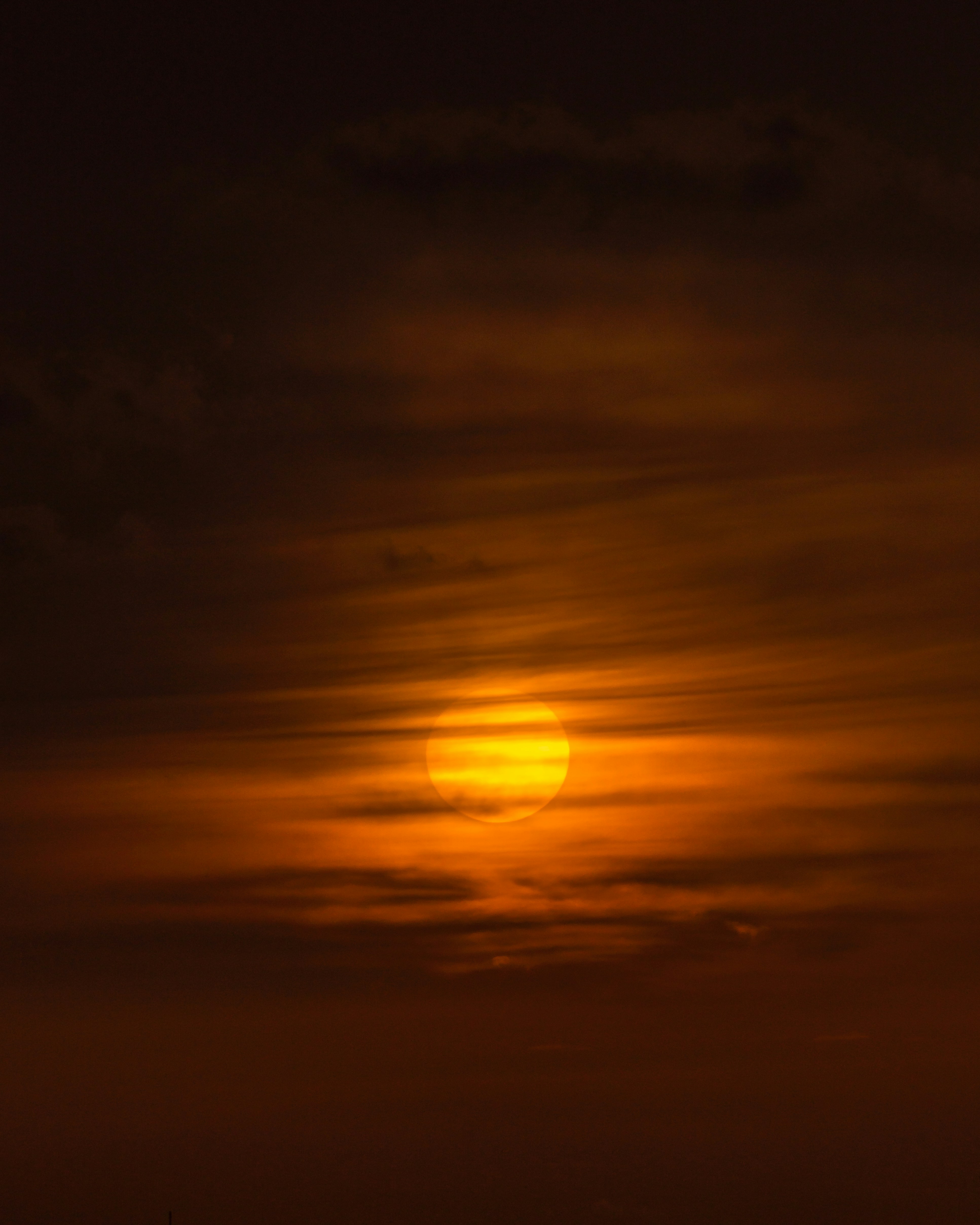 Photo by neobe