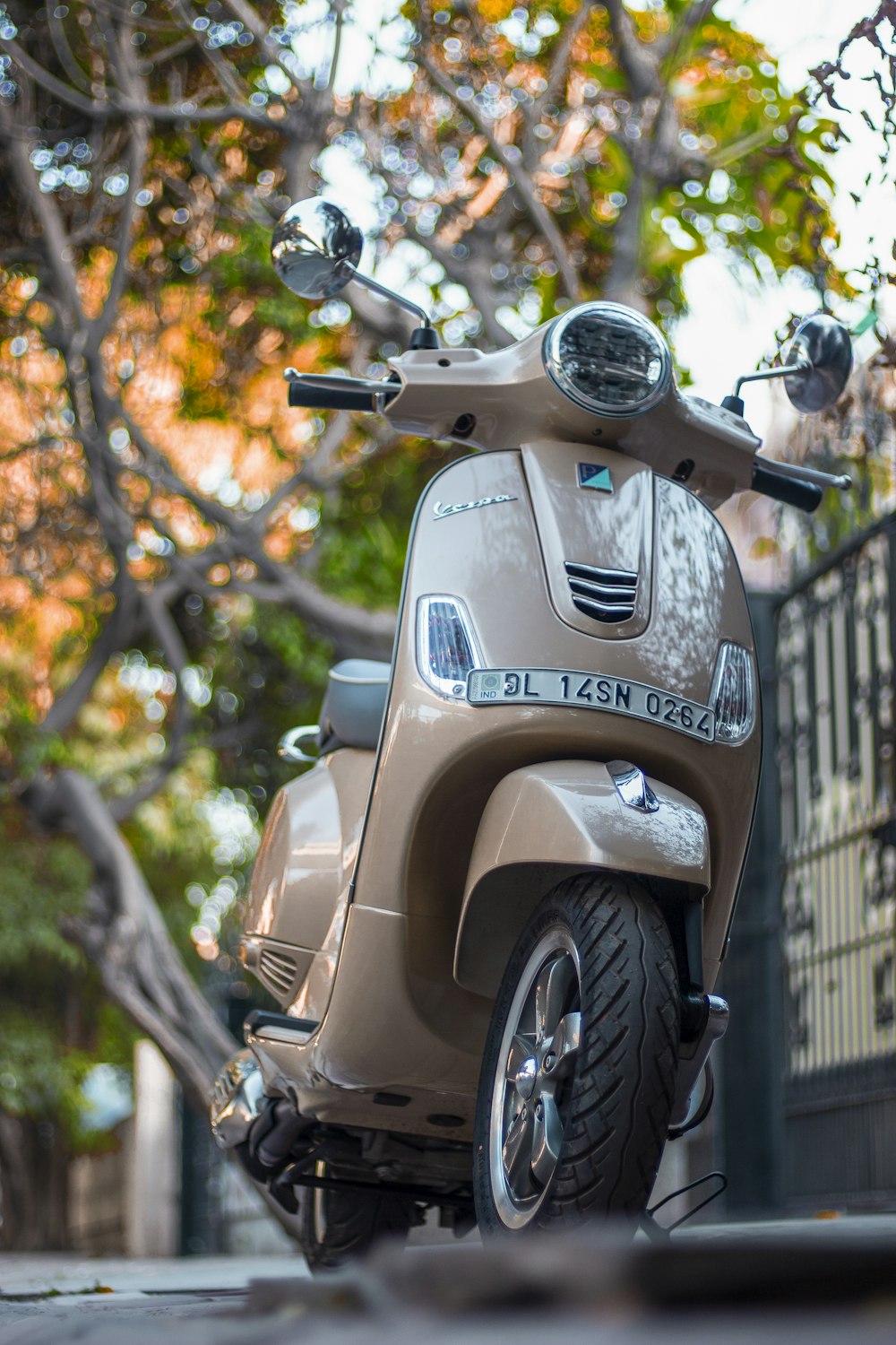 Moto blanche et noire garée près de Brown Tree pendant la journée