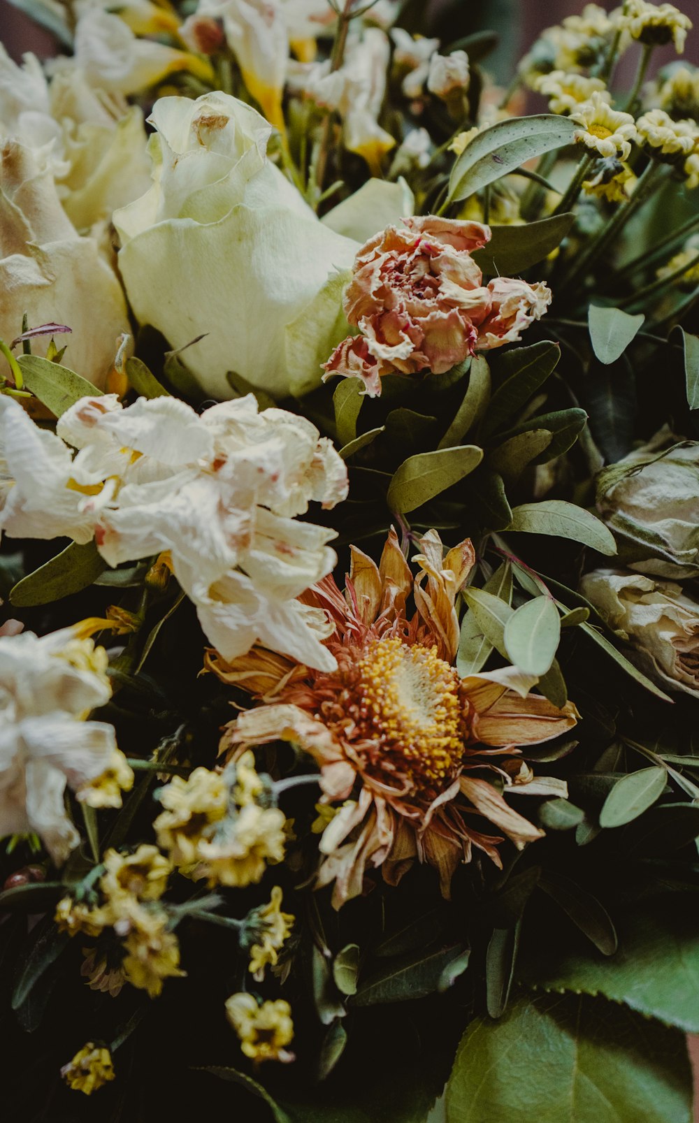 white and red flowers with green leaves